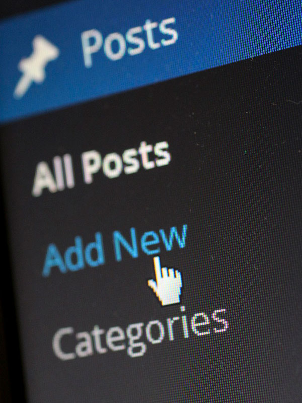 Curso de WordPress online